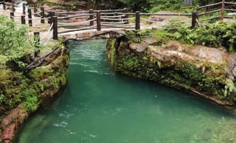 Zhiangjiajie National Forest Park (III)