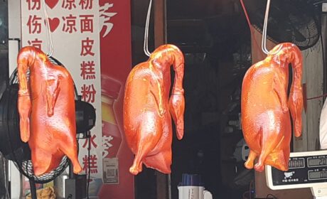 Spacerkiem po Chengdu, cz. I